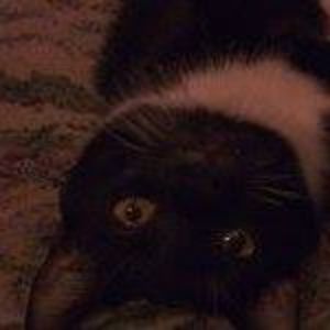 Meet your Posher, Florence